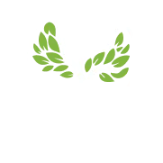 Alexandrite Health Solutions